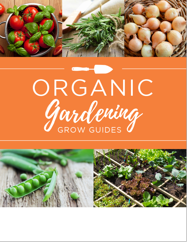 Ebook Organic Vegetables Gardening Grow Guides