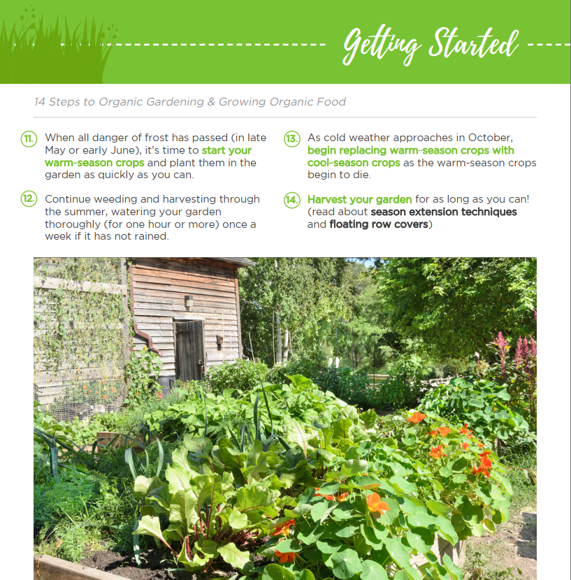 Ebook Organic Vegetables Gardening Grow Guides