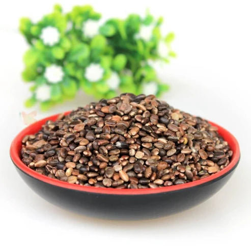 Lupine Seeds