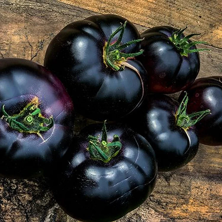 Black Pearl Cherry Tomato Seeds (Non-GMO Heirloom)