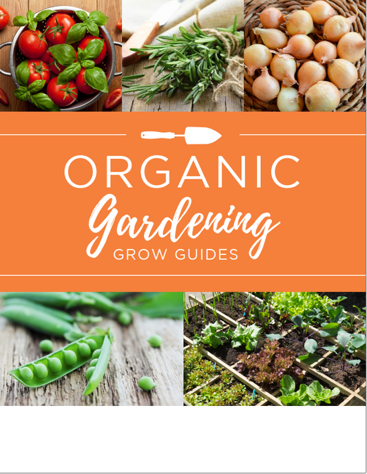 Ebook Organic Vegetables Gardening Grow Guides