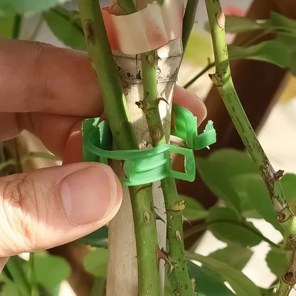 Plant Clips Supports EcoPlastic