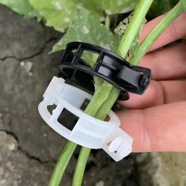 Plant Clips Supports EcoPlastic