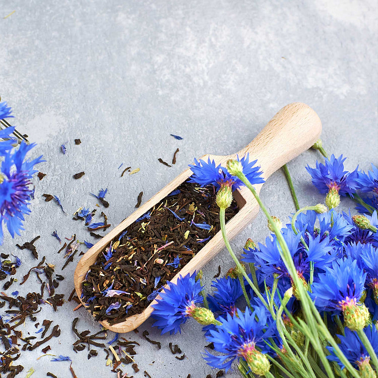 Mixed Cornflower / Bachelor Button Seeds