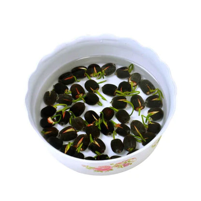 Bowl Lotus Seeds